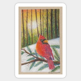 Winter Cardinal Sticker